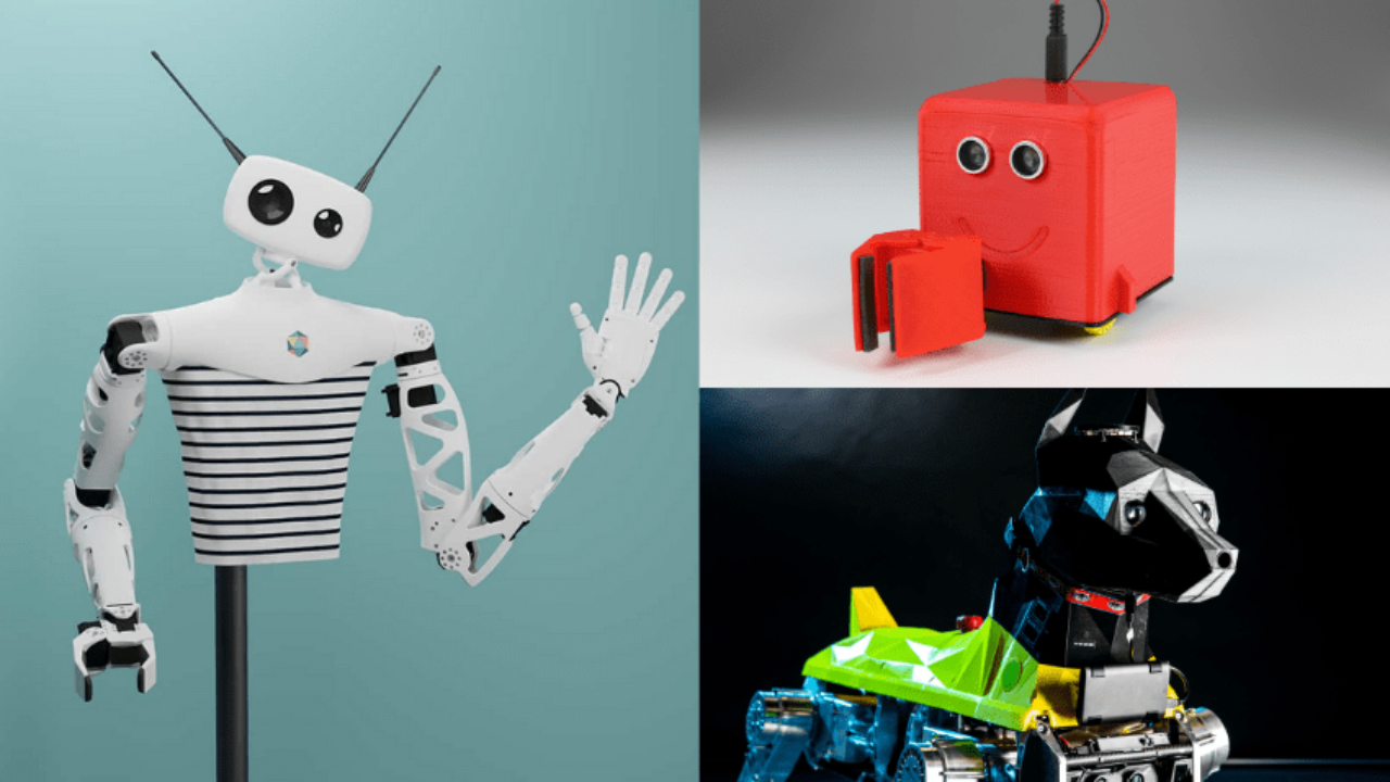 Fragiel vertrekken Nadeel Top 12 3D-Printed Robots — From Amphibians to Humanoids - 3Dnatives