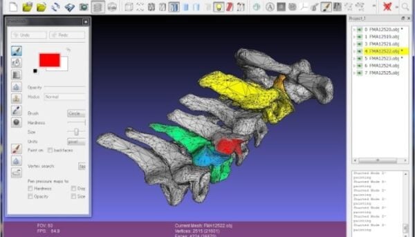 Meshlab: All The Characteristics Of The Repair Software