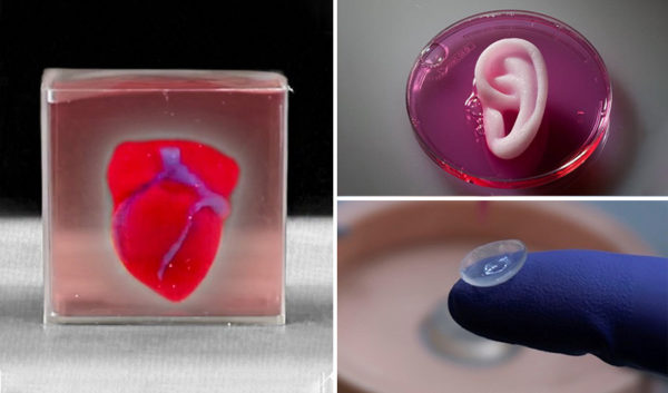 3d Printed Organs And Body Parts Projects 3dnatives