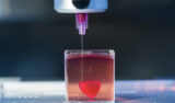 Researchers 3D Print A Heart With Human Tissue And Blood Vessels ...