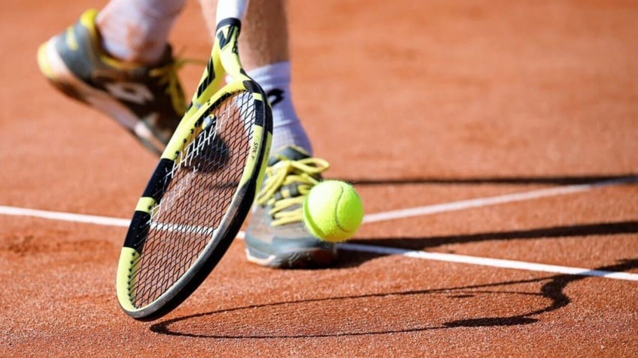Antivibrateurs pour raquettes de tennis